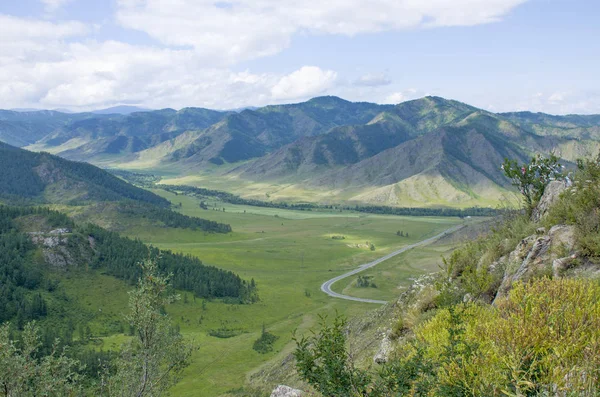 Passo Montagna Altai Bellissimo Paesaggio — Foto Stock