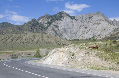 Rusya'da Altay yüksek dağlar arasında Peyzaj yol