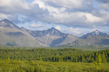 Rusya'da Altay yüksek dağların arka plan karşı taiga Manzara