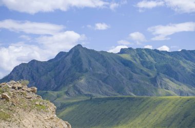 Rusya'da Altay yüksek dağların arka plan karşı taiga Manzara