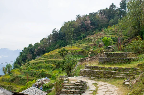 Nepal Himalayalarının güzel tropikal manzarası