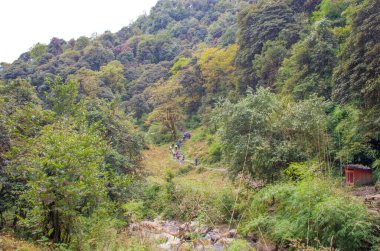 Himalayalar 'daki Nepal dağlarında turistler yürüyor