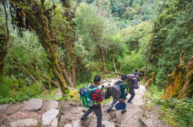 Himalayalar 'daki Nepal dağlarında turistler yürüyor