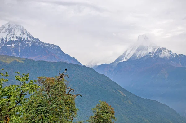 Paisagem Monte Himalaia Nepal — Fotografia de Stock