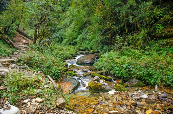 喜马拉雅山瀑布尼泊尔美丽的风景 — 图库照片