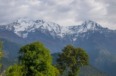 Nepal dağlarının tepeleri, ağaçların arasında Himalayalar 'ın manzarasıdır.