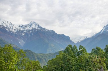 Nepal dağlarının tepeleri, ağaçların arasında Himalayalar 'ın manzarasıdır.