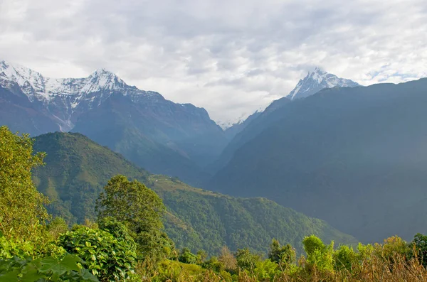 Picos Das Montanhas Nepal Entre Árvores São Paisagem Dos Himalaias — Fotografia de Stock