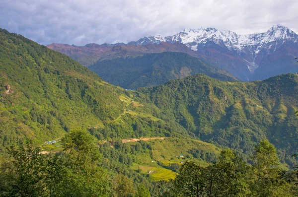 Peaks Mountains Nepal Trees Landscape Himalayas — Stock Photo, Image