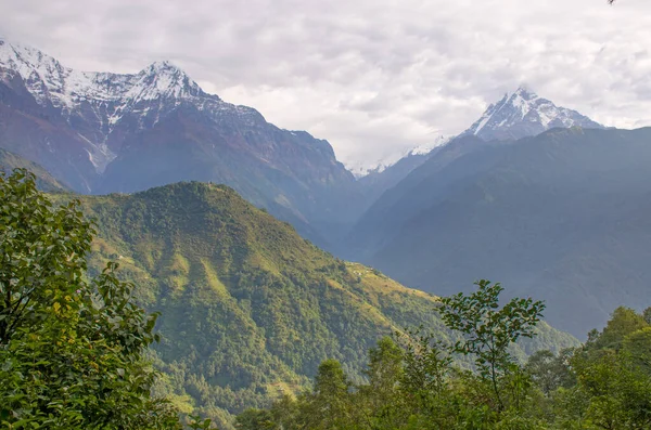 Toppen Van Bergen Van Nepal Tussen Bomen Zijn Het Landschap — Stockfoto