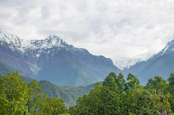 Los Picos Las Montañas Nepal Entre Los Árboles Son Paisaje — Foto de Stock