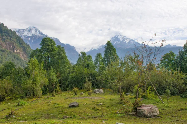 Los Picos Las Montañas Nepal Entre Los Árboles Son Paisaje — Foto de Stock