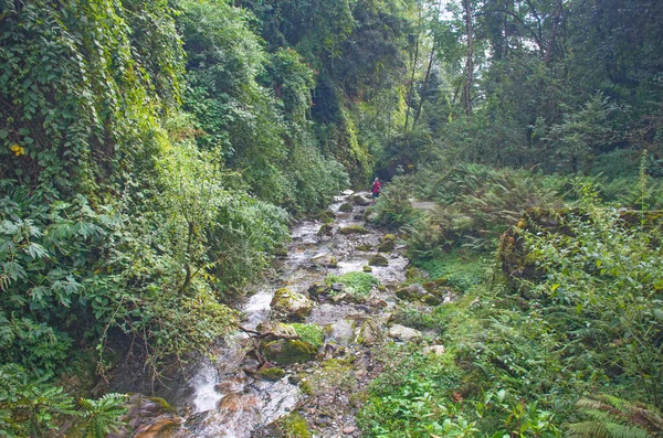 尼泊尔喜马拉雅山热带森林的瀑布 — 图库照片