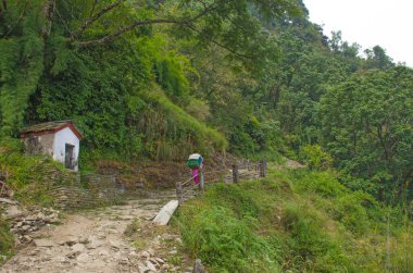 Turistler Nepal Himalayaları 'nın dağları arasında izleri takip ediyorlar.