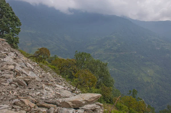 尼泊尔喜马拉雅山野生动物景观 — 图库照片