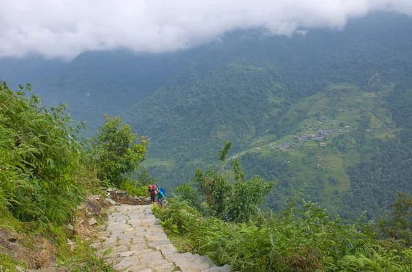 Los Turistas Siguen Sendero Entre Las Montañas Nepal Himalaya — Foto de Stock