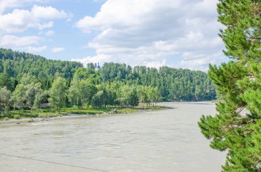 Altai Dağı 'ndaki Katuni Nehri manzarası