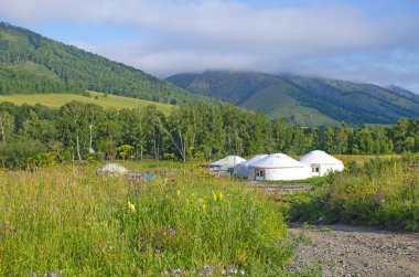Altai Dağları 'nın manzarası ve Rusya' da orman ve bitkilerle dolu bir tatil evi.