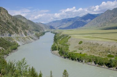 Rusya 'da Altai' deki dağ nehrinin güzel manzarası