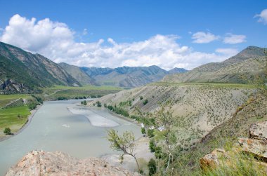 Rusya 'da Altai' deki dağ nehrinin güzel manzarası
