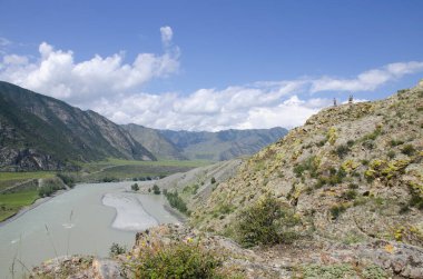 Rusya 'da Altai' deki dağ nehrinin güzel manzarası