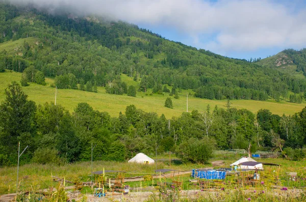 Krajina Altaje Rekreační Dům Rusku Lesy Rostlinami — Stock fotografie