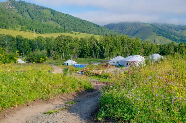 Krajina Altaje Rekreační Dům Rusku Lesy Rostlinami — Stock fotografie