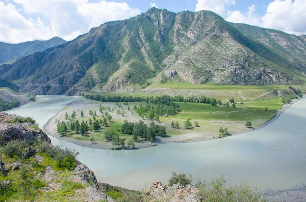 Bela Paisagem Rio Montanha Altai Rússia — Fotografia de Stock