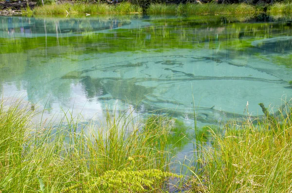 Lac Geyser Dans Les Montagnes Altaï Russie — Photo