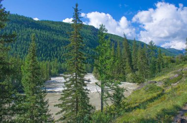 Dağ nehri Chuya Rusya 'daki Altai dağlarının arasında.