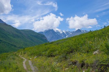 İzler Rusya 'daki Altai Dağları' na gidiyor.
