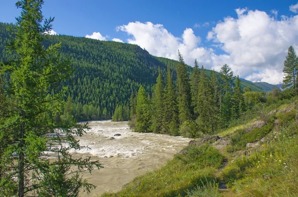 Dağ Nehri Chuya Rusya Daki Altai Dağlarının Arasında — Stok fotoğraf