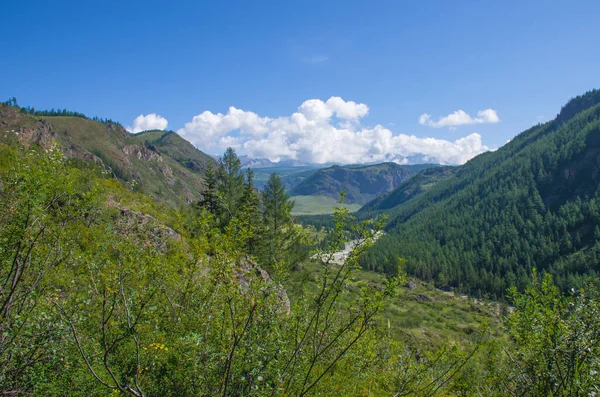 Bela Paisagem Natureza Das Montanhas Altai Rússia — Fotografia de Stock