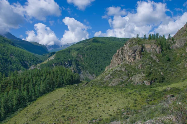 Bela Paisagem Natureza Das Montanhas Altai Rússia — Fotografia de Stock