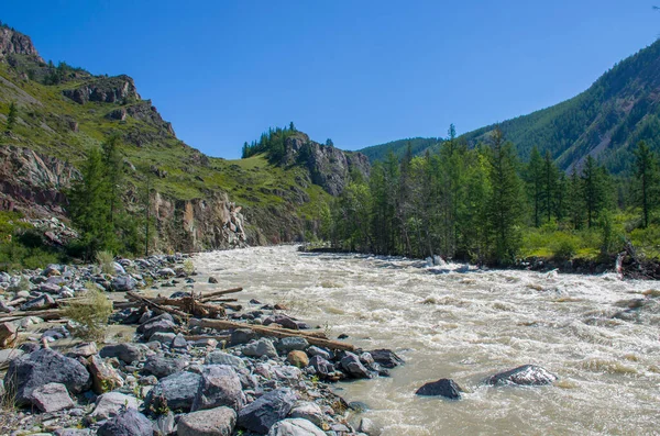 Fiume Montagna Chuya Tra Montagne Altai Russia Paesaggio — Foto Stock