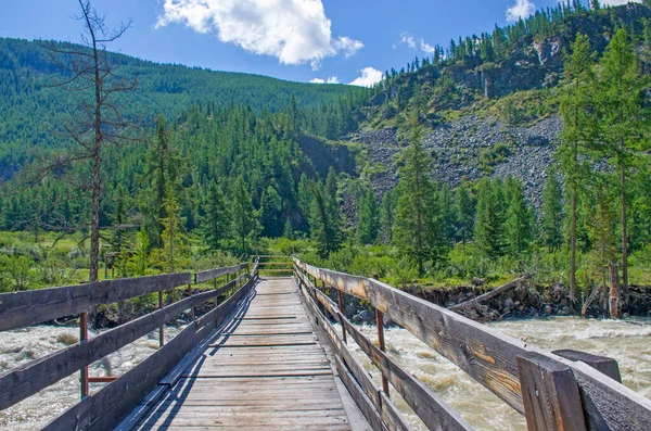 Rusya Daki Altai Dağlarındaki Nehrin Karşısındaki Güzel Manzara Eski Köprüsü — Stok fotoğraf