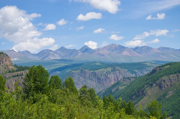 Красивый Пейзаж Природы Алтайских Гор России — стоковое фото