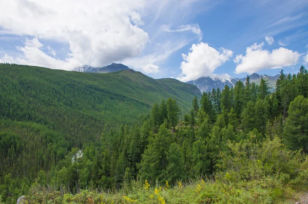 Bela Paisagem Natureza Das Montanhas Altai Rússia — Fotografia de Stock