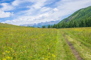İzler Rusya 'daki Altai Dağları' na gidiyor.