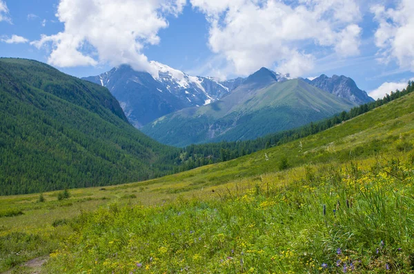 Hermoso Paisaje Naturaleza Las Montañas Altai Rusia — Foto de Stock