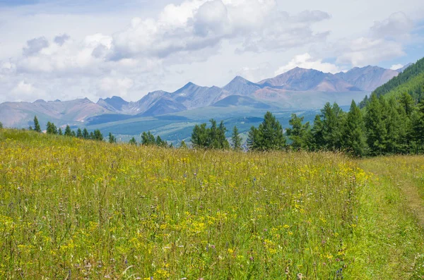 Der Weg Führt Ins Russische Altai Gebirge — Stockfoto