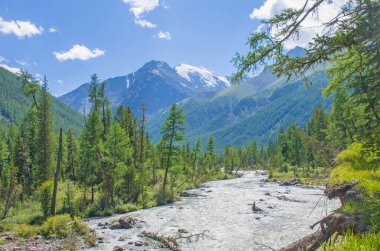 Altai dağları arasında çayırları ve çiçekleri olan güzel bir dağ nehri