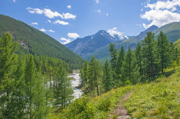 Krajina Krásná Horská Řeka Mezi Horami Altai Travnatými Porosty Květinami — Stock fotografie
