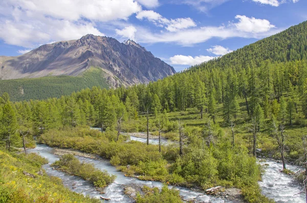 Paisaje Hermoso Río Montaña Entre Las Montañas Altai Con Pastizales — Foto de Stock