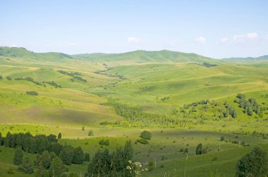Güzel dağlar Altai yaz manzarası