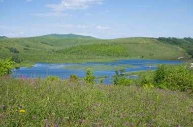 Altai dağlarının etrafındaki mavi göl Yazın güzel manzara