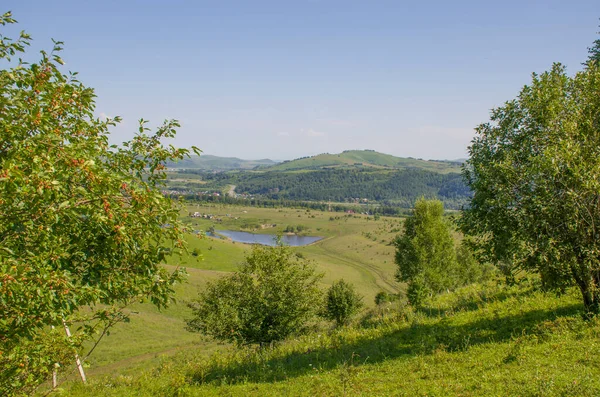 Altai Dağlarının Etrafındaki Mavi Göl Yazın Güzel Manzara — Stok fotoğraf