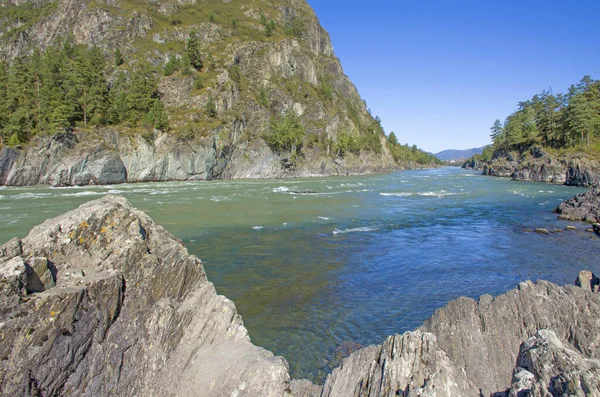 Fiume Chuya Tra Montagne Montagna Altai Della Russia Bellissimo Paesaggio — Foto Stock