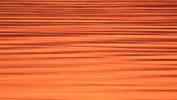 日没時の水の波紋や穏やかな夏の風景 — ストック動画