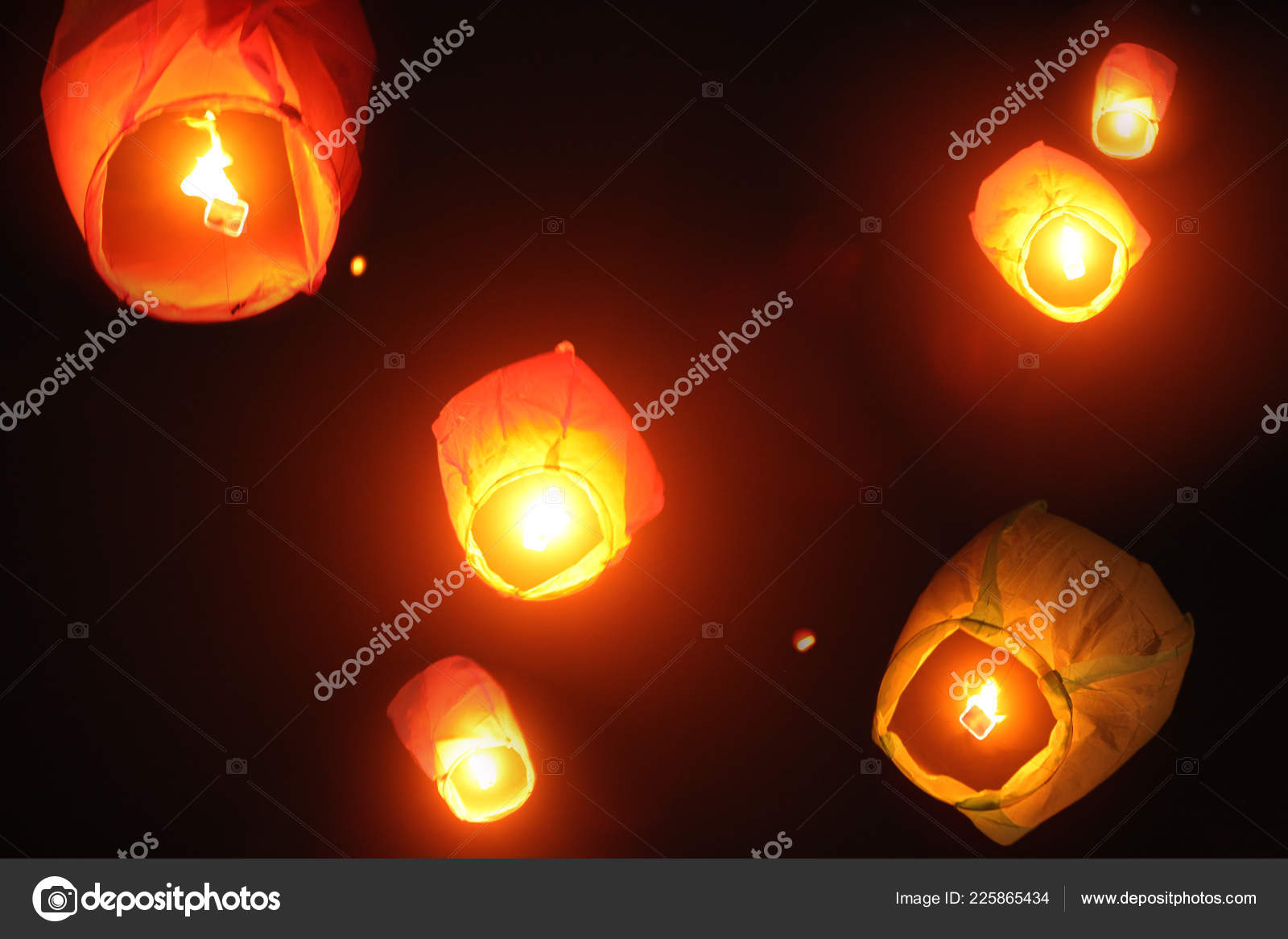 Chinese Lanterns – the Dangers for Dogs - Finchley Dog Walker